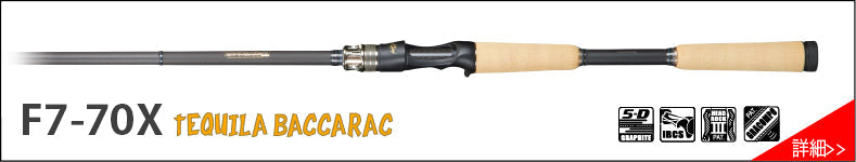 Destroyer P5 Casting Rods