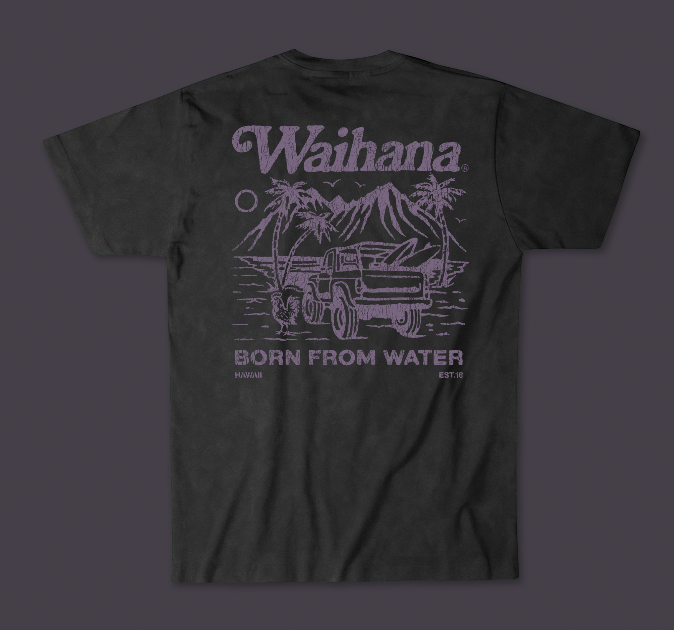 Purple Sands Premium Acid Washed Pima T-Shirt